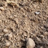 Сырье для производства кирпича